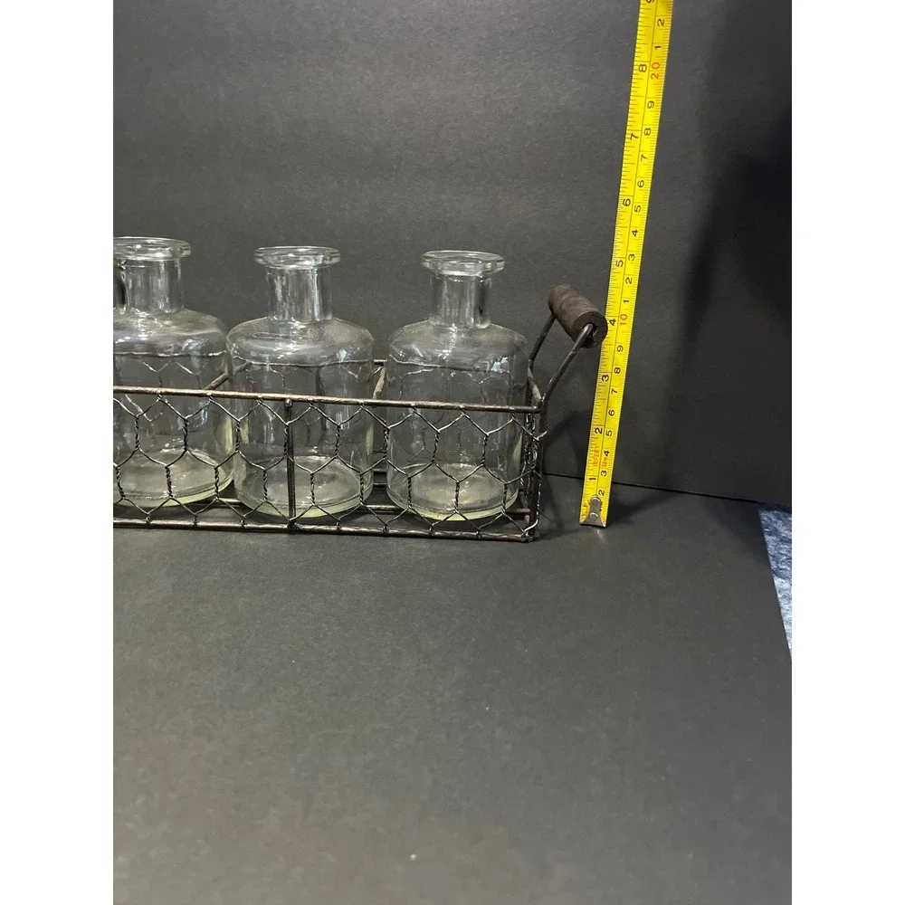 Farmhouse Glass Vase Set 3 Apothecary Bottles in Chicken Wire Caddy Metal Tray